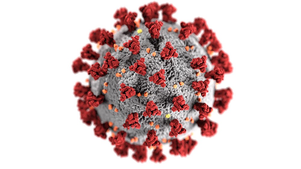 Malasanità Covid-19 - Coronavirus